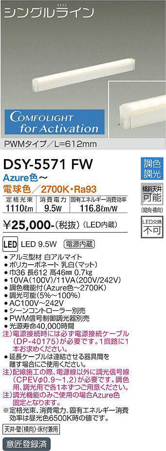 DSY-5571FW