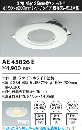 AE45826E