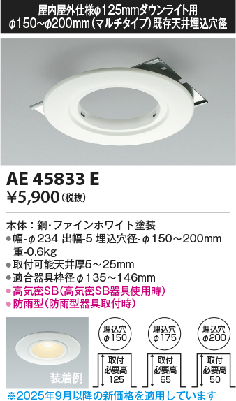 AE45833E