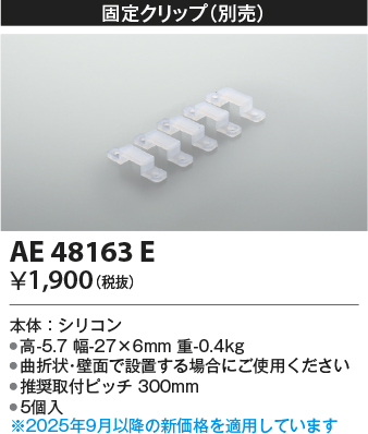 AE48163E