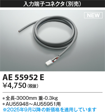 AE55952E