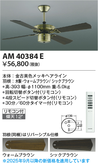 AM40384E