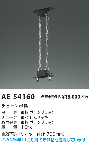AE54160