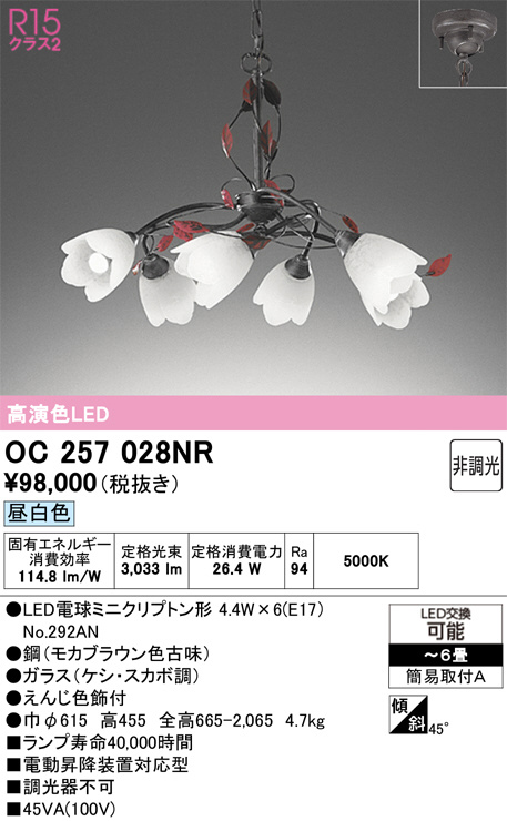 OC257028NR