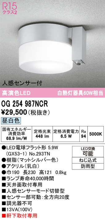 OG254987NCR