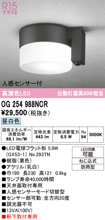 OG254988NCR