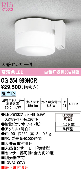 OG254989NCR